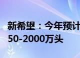 新希望：今年预计出栏1400万头 明年冲刺1850-2000万头