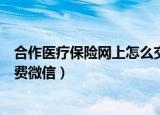 合作医疗保险网上怎么交费微信（合作医疗保险网上如何交费微信）