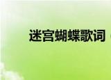 迷宫蝴蝶歌词（迷宫蝴蝶歌曲介绍）
