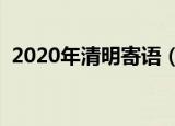 2020年清明寄语（清明节可以写什么寄语）