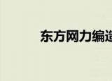 东方网力编造虚假计税依据被罚