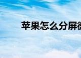 苹果怎么分屏微信（苹果怎么分屏）