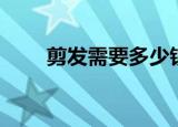 剪发需要多少钱（学习剪发的价格）