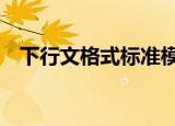 下行文格式标准模板word（下行文格式）