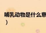 哺乳动物是什么意思（哺乳动物指的是什么呢）