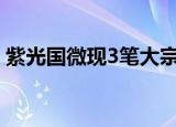 紫光国微现3笔大宗交易 合计成交80.00万股