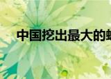 中国挖出最大的蛇（中国发现最大的蛇）