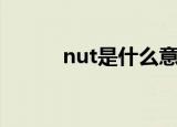 nut是什么意思（nut中文意思）