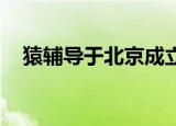 猿辅导于北京成立软件公司 注册资本1亿