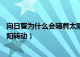 向日葵为什么会随着太阳转动20字（向日葵为什么会随着太阳转动）