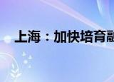 上海：加快培育融合生态的智能座舱终端