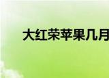 大红荣苹果几月份成熟（大红荣苹果）