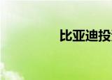 比亚迪投资光电科技公司