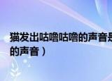 猫发出咕噜咕噜的声音是什么意思（为什么猫发出咕噜咕噜的声音）