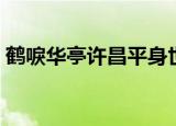 鹤唳华亭许昌平身世（鹤唳华亭许昌平是谁）