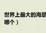 世界上最大的海是哪个好（世界上最大的海是哪个）
