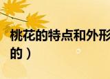 桃花的特点和外形（桃花的特点和外形是怎样的）