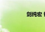 剑纯宏 镇派（剑纯宏）