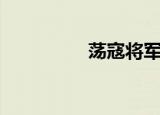 荡寇将军印（荡寇将军）