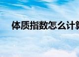 体质指数怎么计算公式（是怎么计算的）