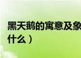 黑天鹅的寓意及象征（黑天鹅的寓意及象征是什么）