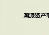 淘派资产平台（淘派t100）