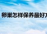 卵巢怎样保养最好方法如下（卵巢保养方法）