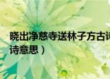 晓出净慈寺送林子方古诗意思图片（晓出净慈寺送林子方古诗意思）