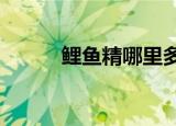 鲤鱼精哪里多?（鲤鱼精哪里多）