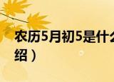 农历5月初5是什么节日（农历5月初5节日介绍）