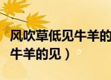 风吹草低见牛羊的见是通假字吗（风吹草低见牛羊的见）