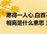 愿得一人心,白首不相离（愿得一人心白首不相离是什么意思）