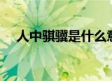人中骐骥是什么意思（人中骐骥的意思）