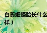 白蕊姬怪胎长什么样图片（白蕊姬怪胎长什么样）