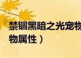 禁锢黑暗之光宠物属性dnf（禁锢黑暗之光宠物属性）
