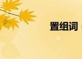置组词（置如何组词）