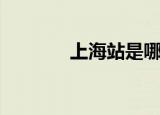 上海站是哪个站（指哪个站）