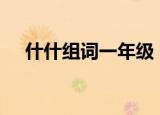 什什组词一年级（什SHEN组词一年级）