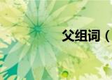 父组词（父读音及解释）