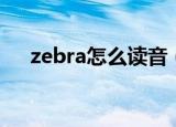 zebra怎么读音（英语zebra怎么读音）