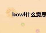 bowl什么意思中文（bowl的意思）
