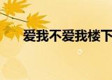 爱我不爱我楼下门没锁（爱我不爱我）