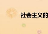 社会主义的本质要求是什么？