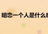 暗恋一个人是什么感觉（暗恋一个人的感觉）