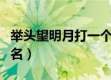 举头望明月打一个城市（举头望明月打一城市名）