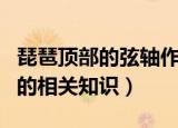 琵琶顶部的弦轴作用是什么（琵琶顶部的弦轴的相关知识）