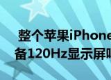  整个苹果iPhone 12系列产品阵容都不会配备120Hz显示屏吗