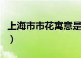 上海市市花寓意是什么（上海市市花寓意是啥）