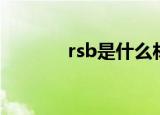 rsb是什么材质的垫片（rsb）