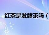 红茶是发酵茶吗（到底红茶是不是发酵茶）